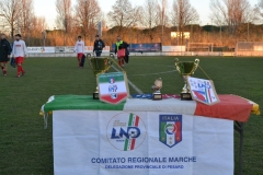 tutte le foto